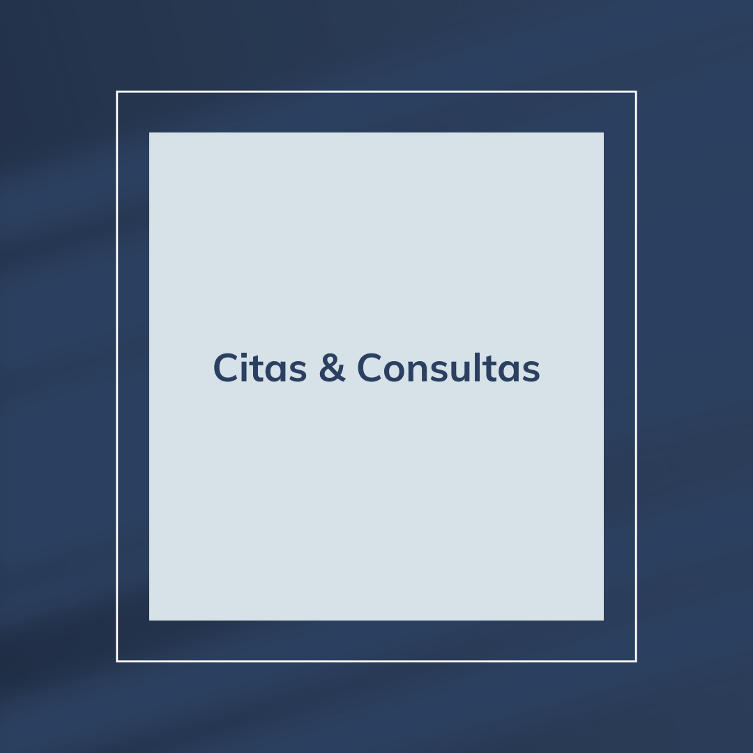 Citas y Consultas